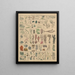 Illustrations for the General Natural History of Oken for all classes Pl009 - Lorenz Oken — framed artwork on a wall
