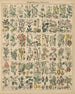 Illustrations for the General Natural History of Oken for all classes Pl015 - Lorenz Oken — artwork view