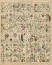 Illustrations for the General Natural History of Oken for all classes Pl020 - Lorenz Oken — artwork view