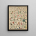 Illustrations for the General Natural History of Oken for All Classes Pl022 - Lorenz Oken — framed artwork on a wall