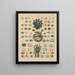 Illustrations for the General Natural History of Oken for all classes Pl024 - Lorenz Oken — framed artwork on a wall