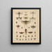 Illustrations for the General Natural History of Oken for all classes Pl038 - Lorenz Oken — framed artwork on a wall