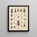Illustrations for the General Natural History of Oken for all classes Pl039 - Lorenz Oken — framed artwork on a wall
