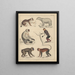 Illustrations for the General Natural History of Oken for all classes Pl046 - Lorenz Oken — framed artwork on a wall