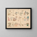 Illustrations of the General Natural History of Oken for all states Pl061 - Lorenz Oken — framed artwork on a wall
