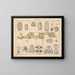 Illustrations de l'Histoire naturelle générale d'Oken pour tous les états Pl063 - Lorenz Oken — framed artwork on a wall