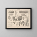 Illustrations of Oken's General Natural History for all states Pl070 - Lorenz Oken — framed artwork on a wall