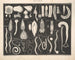Illustrations de l'Histoire naturelle générale d'Oken pour tous les états Pl073 - Lorenz Oken — artwork view