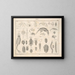 Illustrations de l'Histoire naturelle générale d'Oken pour tous les états Pl078 - Lorenz Oken — framed artwork on a wall