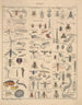 Illustrations for the General Natural History of Oken for all classes Pl081 - Lorenz Oken — artwork view
