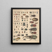 Illustrations for the General Natural History of Oken for all classes Pl089 - Lorenz Oken — framed artwork on a wall