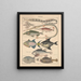 Illustrations for the General Natural History of Oken for all classes Pl092 - Lorenz Oken — framed artwork on a wall
