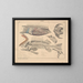 Illustrations de l'Histoire naturelle générale d'Oken pour tous les états Pl103 - Lorenz Oken — framed artwork on a wall