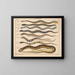 Illustrations of the General Natural History of Oken for all states Pl107 - Lorenz Oken — framed artwork on a wall