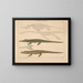 Illustrations of the General Natural History of Oken for all states Pl. 113 - Lorenz Oken — framed artwork on a wall