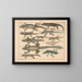Illustrations of the General Natural History of Oken for all states Pl114 - Lorenz Oken — framed artwork on a wall