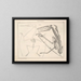 Illustrations of the General Natural History of Oken for all states Pl115 - Lorenz Oken — framed artwork on a wall
