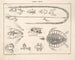 Illustrations de l'Histoire naturelle générale d'Oken pour tous les états Pl116 - Lorenz Oken — artwork view