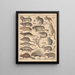 Illustrations for the General Natural History of Oken for all classes Pl133 - Lorenz Oken — framed artwork on a wall