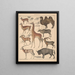 Illustrations for the General Natural History of Oken for all classes Pl138 - Lorenz Oken — framed artwork on a wall