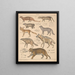 Illustrations for the General Natural History of Oken for all classes Pl140 - Lorenz Oken — framed artwork on a wall