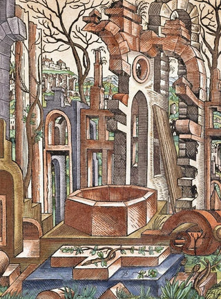 Lorenz Ster - Geometria et Perspectiva Pl 11.webp