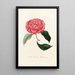 Iconography of the Camellia genre Pl028 - Lorenzo Bartolini — framed artwork on a wall