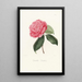 Iconography of the Camellia genre Pl046 - Lorenzo Bartolini — framed artwork on a wall