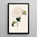 Iconography of the Camellia Genre Pl063 - Lorenzo Bartolini — framed artwork on a wall
