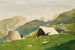 Construction of the camp - Lorenzo Delleani — artwork view