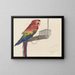 Parrot Painting - Louis-Charles Bombled — framed artwork on a wall