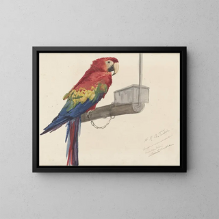 Parrot Painting - Louis-Charles Bombled — framed artwork on a wall