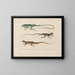 Voyage around the World - Louis-Isidore Duperrey — framed artwork on a wall
