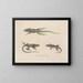 Voyage around the world - Louis-Isidore Duperrey — framed artwork on a wall