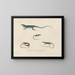 Voyage around the World - Louis-Isidore Duperrey — framed artwork on a wall