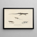 Voyage around the world Pl004 - Louis-Isidore Duperrey — framed artwork on a wall