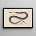 Voyage around the World Pl006 - Louis-Isidore Duperrey — framed artwork on a wall