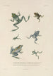 Voyage autour du monde Pl007 - Louis-Isidore Duperrey — artwork view