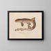 Voyage around the World - Louis-Isidore Duperrey — framed artwork on a wall