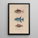 Voyage around the World Pl017 - Louis-Isidore Duperrey — framed artwork on a wall