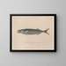 Voyage around the World - Louis-Isidore Duperrey — framed artwork on a wall