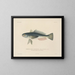 Voyage around the World - Louis-Isidore Duperrey — framed artwork on a wall