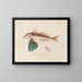 Voyage around the World - Louis-Isidore Duperrey — framed artwork on a wall