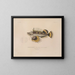 Voyage around the World - Louis-Isidore Duperrey — framed artwork on a wall