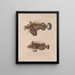 Voyage around the World Pl. 028 - Louis-Isidore Duperrey — framed artwork on a wall