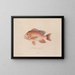 Voyage around the World - Louis-Isidore Duperrey — framed artwork on a wall