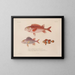 Voyage around the World - Louis-Isidore Duperrey — framed artwork on a wall