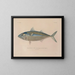 Voyage around the World - Louis-Isidore Duperrey — framed artwork on a wall