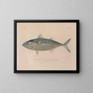 Voyage around the World - Louis-Isidore Duperrey — framed artwork on a wall