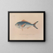 Voyage around the world - Louis-Isidore Duperrey — framed artwork on a wall